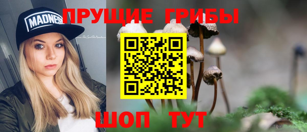Галлюциногенные грибы прущие грибы Прохладный