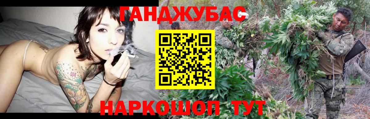 Конопля планчик  Вход с VPN  МАРИХУАНА семена  Прохладный  Бошки Шишки марихуана 